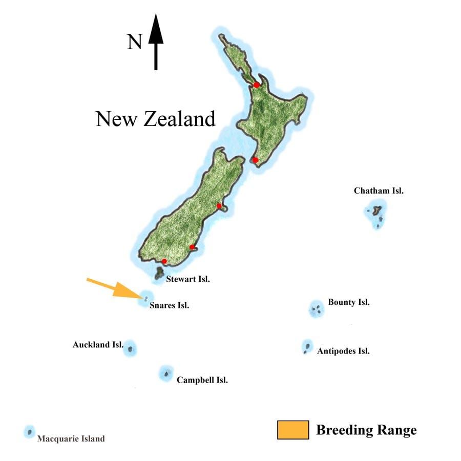 Carte de la nouvelle-zélande et les îles environnantes