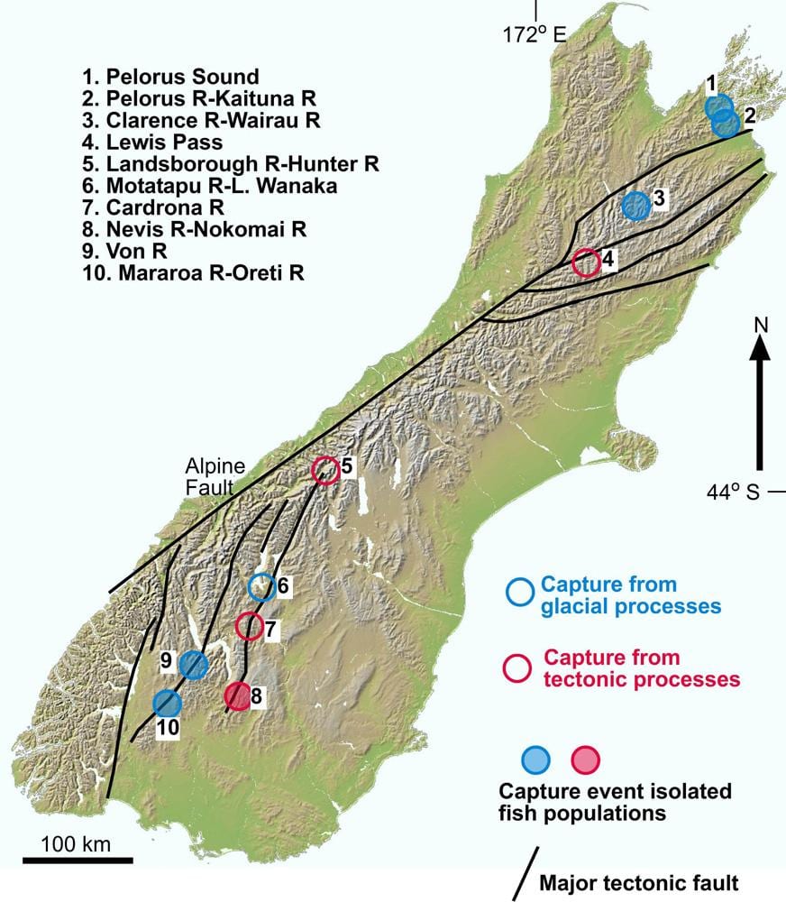 Carte de la gorge de la rivière de la nouvelle-zélande