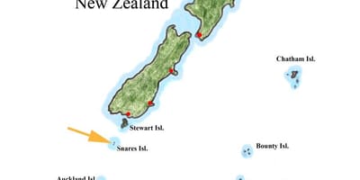 Carte de la nouvelle-zélande et les îles environnantes